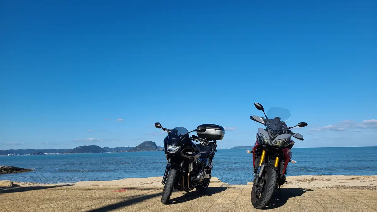 ~200 km — a ferry to Amakusa, Tomioka Castle, the Ushibuka Haiya Bridge, and a scenic entry to Kagoshima.