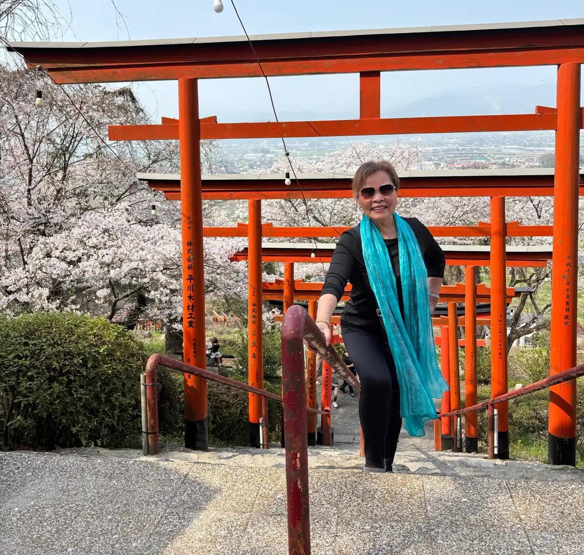 17th-century castle ruins with spectacular cherry blossoms, a specialty eel lunch, and shrine viewing.
