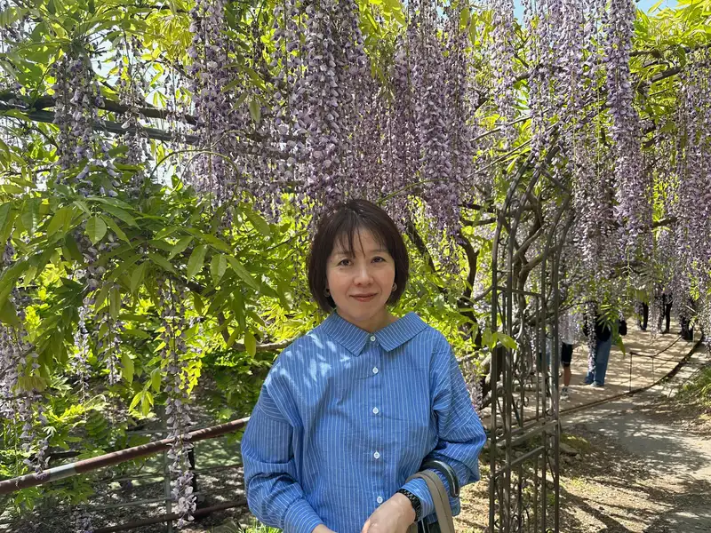 Soyo