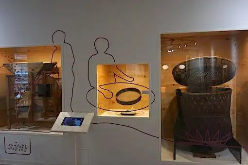Tea exhibits