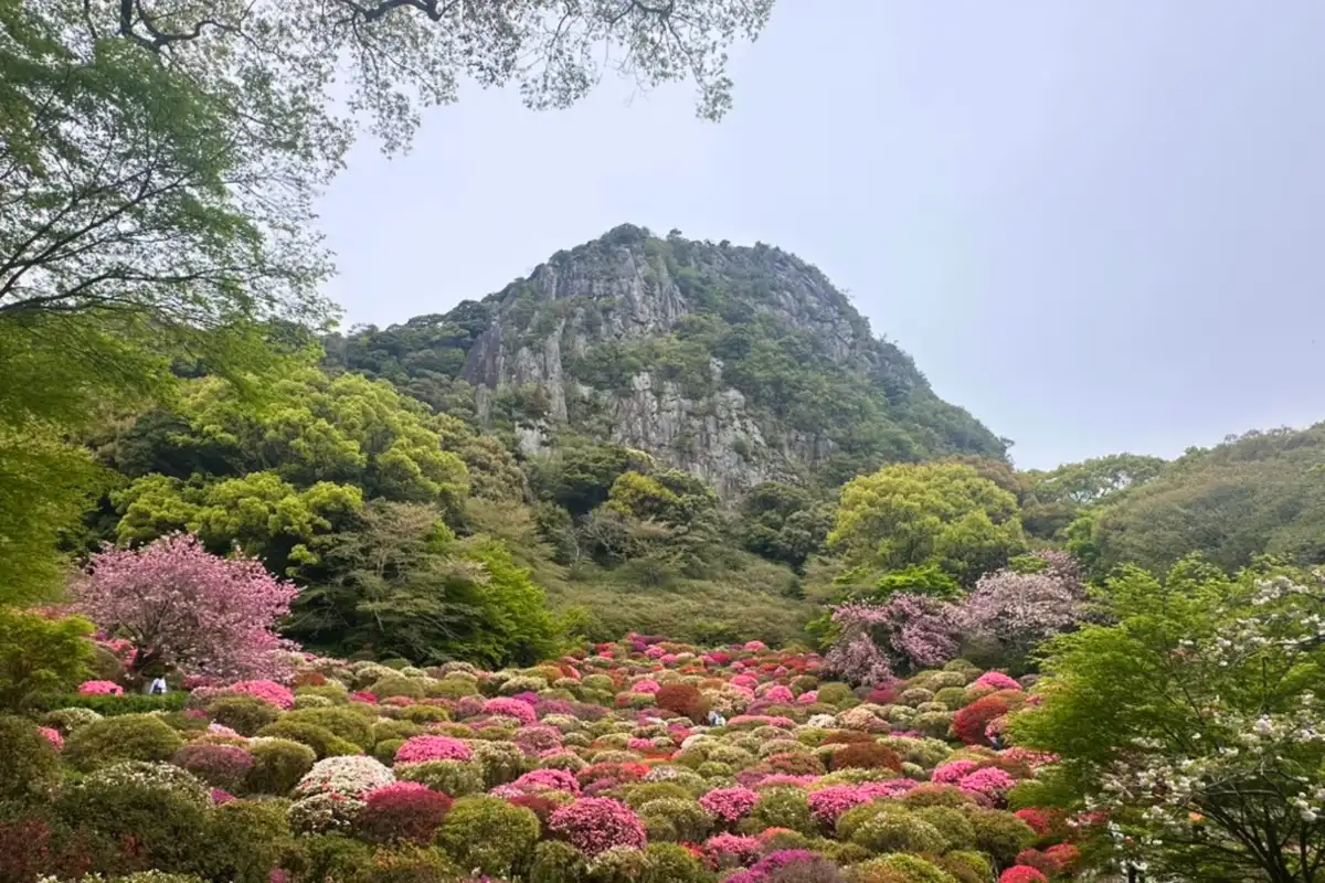 Mifuneyama Rakuen garden, a local lunch, Keishu-en garden, and a scenic train to Nagasaki.
