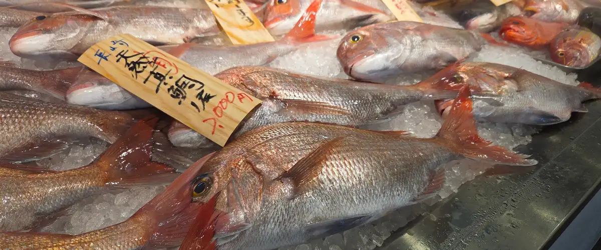 Yanagibashi Rengo Ichiba — historic fish market