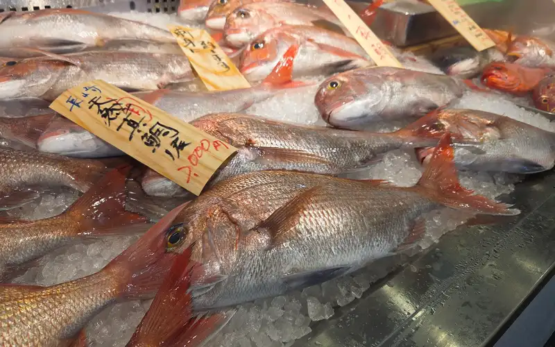 Yanagibashi Rengo Ichiba — historic fish market