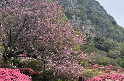 Tour Day 1: Garden Serenity & Scenic Journey to Nagasaki