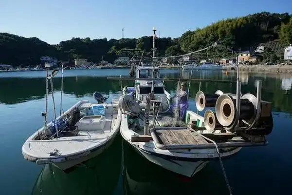 Harbour at 7.30AM