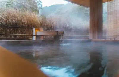 A magnificent Shinto shrine in Kirishima, traditional lunch in Hitoyoshi, onsen bathing and a kaiseki dinner.