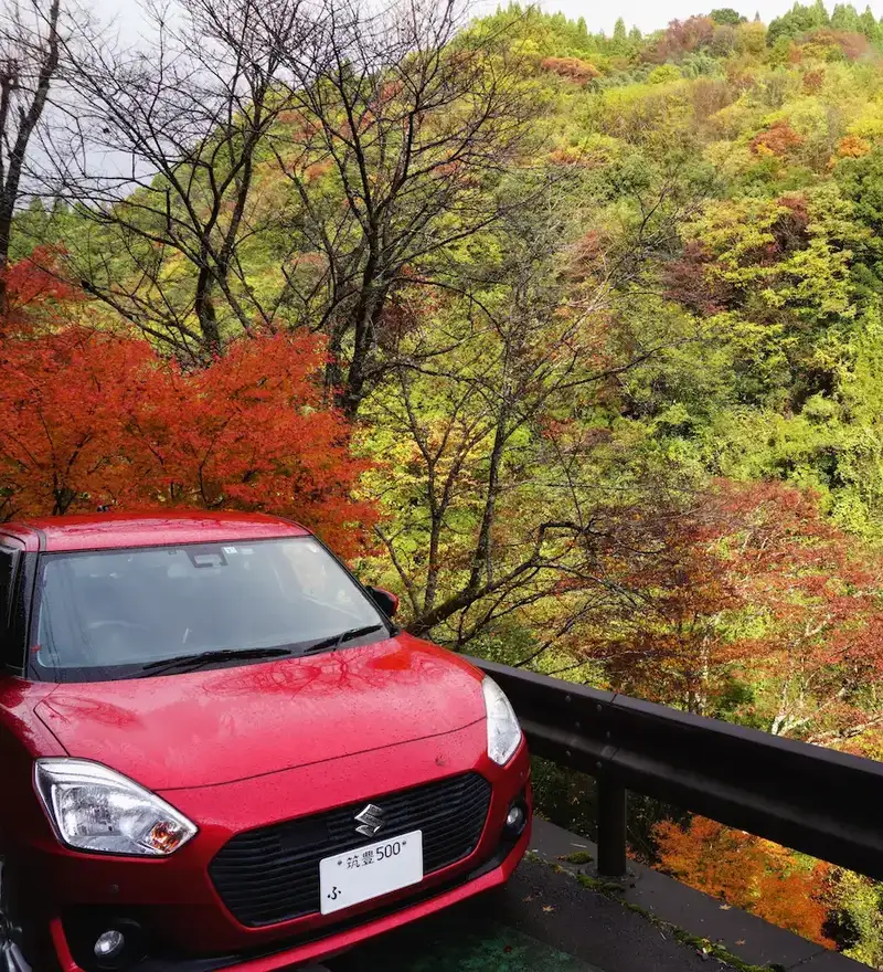 car roadside autumn leaves