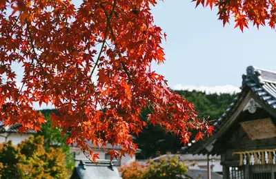 Dazaifu shrine