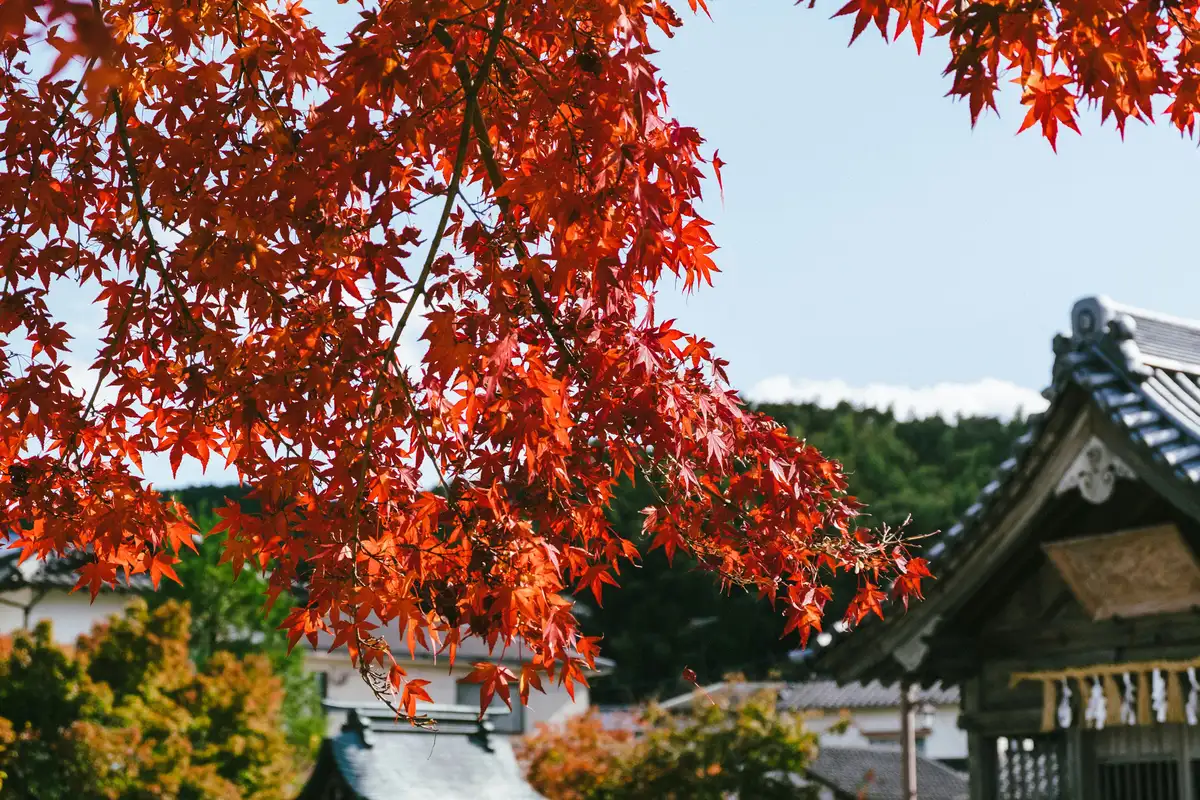 Dazaifu shrine
