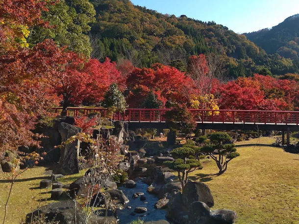 creek running under a bridge surrounded by autumn foliage