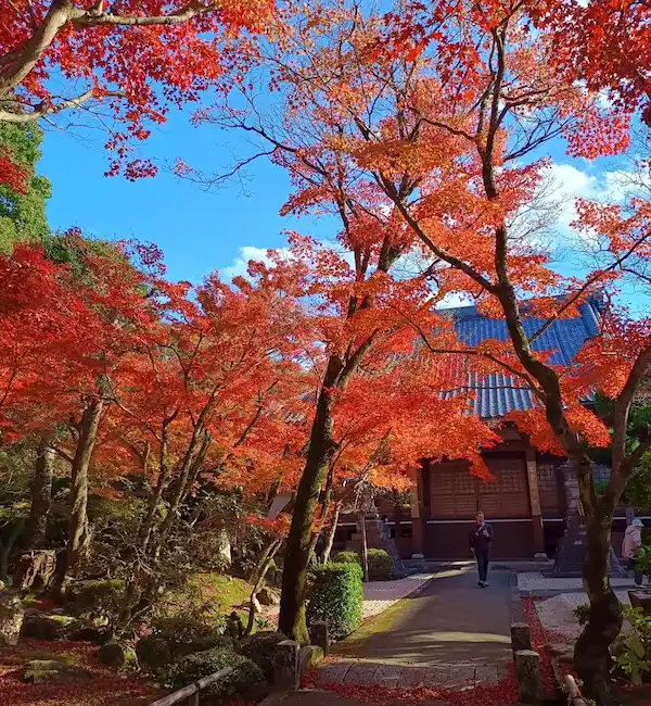 Temple in Fukuoka surrounded by fall leaves