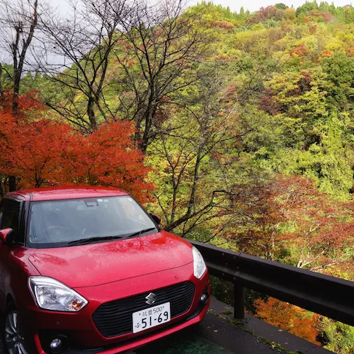 Rental car parked alongside the road beneath autumn leaves