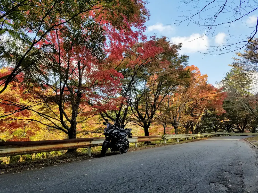 Motorcycle parked alongside the road flanked by autumn leaves