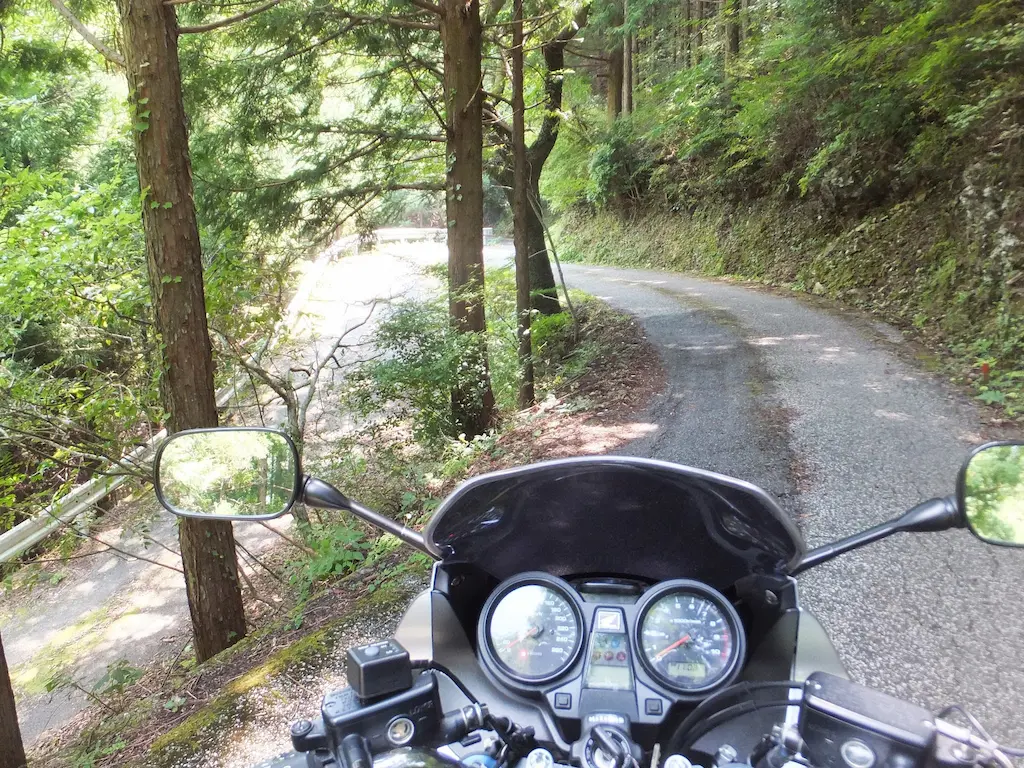 POV perspective of a motorcyclist on a winding, wooded trail