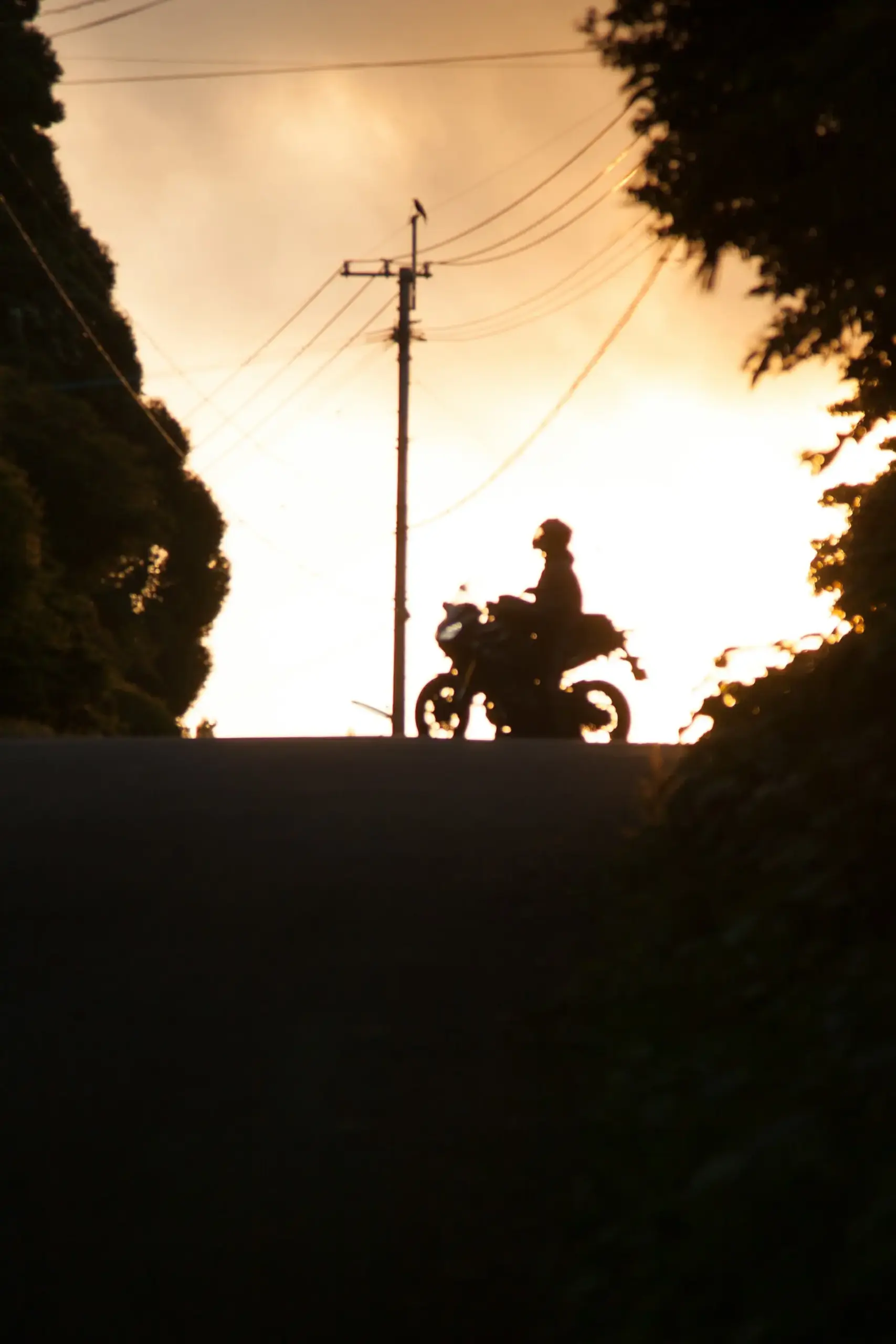 Silhouette of a motorcyclist on a motorcycle at sunset.